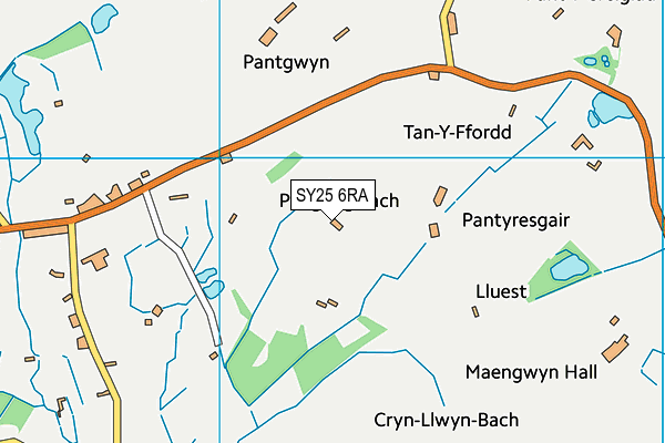 SY25 6RA map - OS VectorMap District (Ordnance Survey)