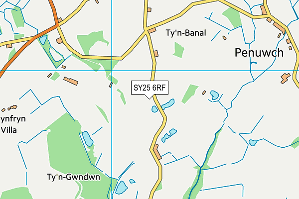 SY25 6RF map - OS VectorMap District (Ordnance Survey)