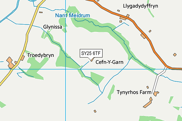 SY25 6TF map - OS VectorMap District (Ordnance Survey)