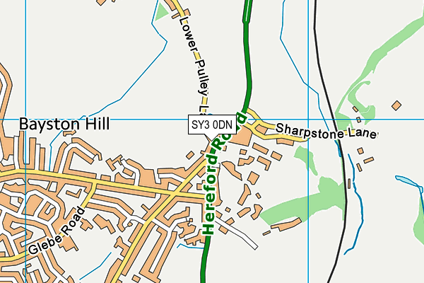 SY3 0DN map - OS VectorMap District (Ordnance Survey)