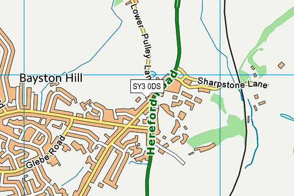 SY3 0DS map - OS VectorMap District (Ordnance Survey)