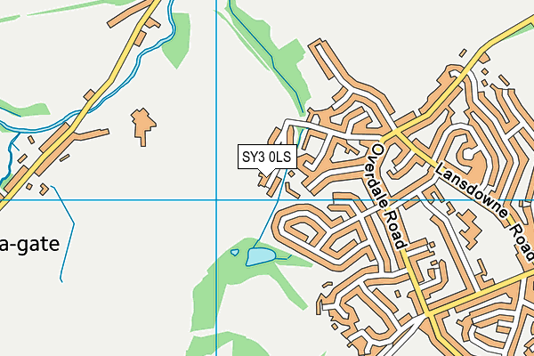 SY3 0LS map - OS VectorMap District (Ordnance Survey)