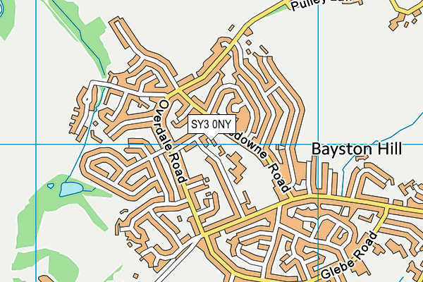 SY3 0NY map - OS VectorMap District (Ordnance Survey)