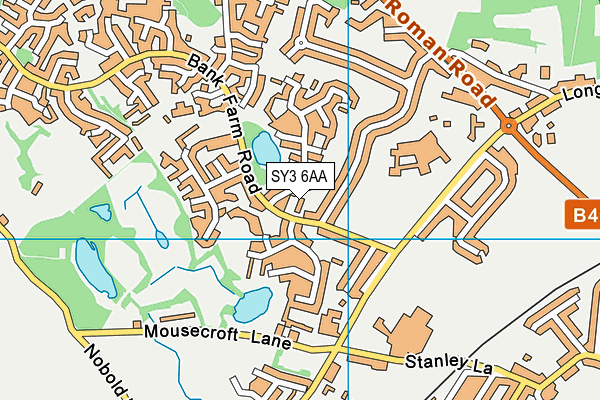 SY3 6AA map - OS VectorMap District (Ordnance Survey)