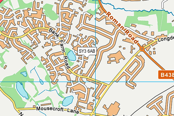 SY3 6AB map - OS VectorMap District (Ordnance Survey)