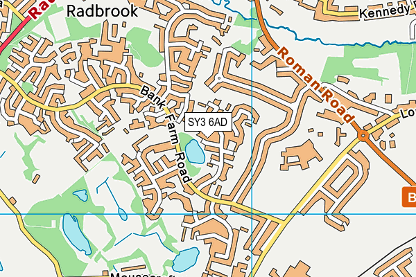 SY3 6AD map - OS VectorMap District (Ordnance Survey)
