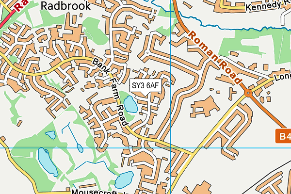 SY3 6AF map - OS VectorMap District (Ordnance Survey)