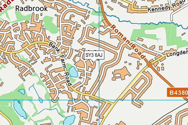 SY3 6AJ map - OS VectorMap District (Ordnance Survey)