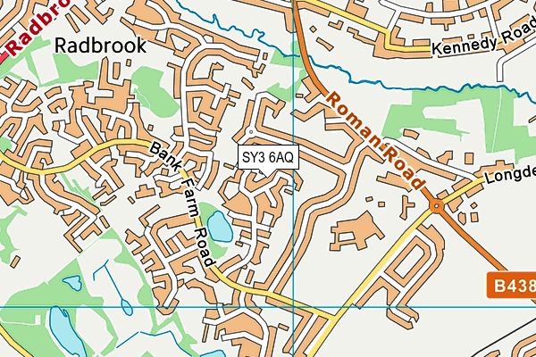 SY3 6AQ map - OS VectorMap District (Ordnance Survey)