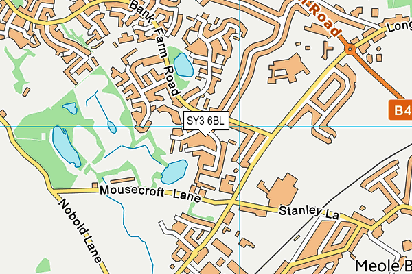 SY3 6BL map - OS VectorMap District (Ordnance Survey)