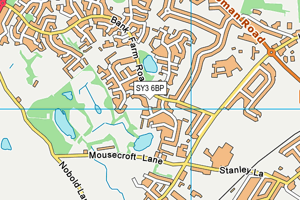 SY3 6BP map - OS VectorMap District (Ordnance Survey)
