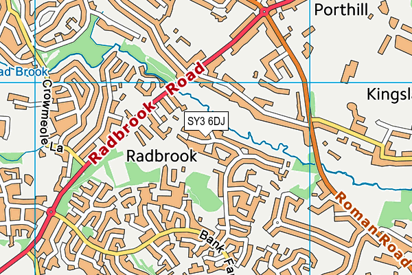 SY3 6DJ map - OS VectorMap District (Ordnance Survey)