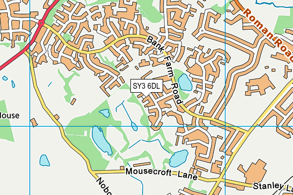 SY3 6DL map - OS VectorMap District (Ordnance Survey)
