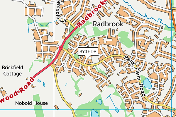 SY3 6DP map - OS VectorMap District (Ordnance Survey)