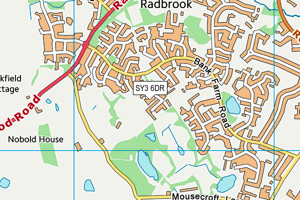 SY3 6DR map - OS VectorMap District (Ordnance Survey)