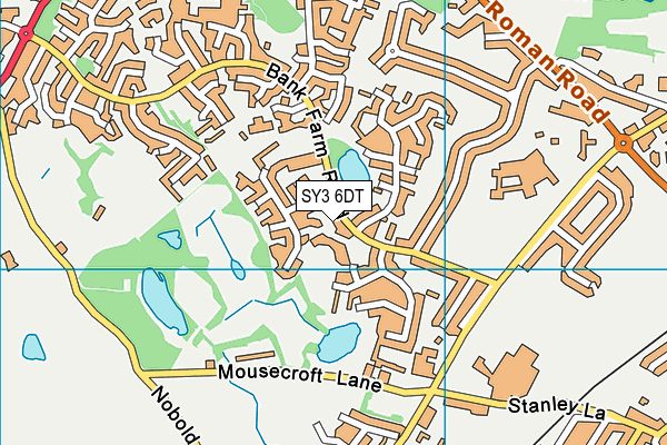 SY3 6DT map - OS VectorMap District (Ordnance Survey)