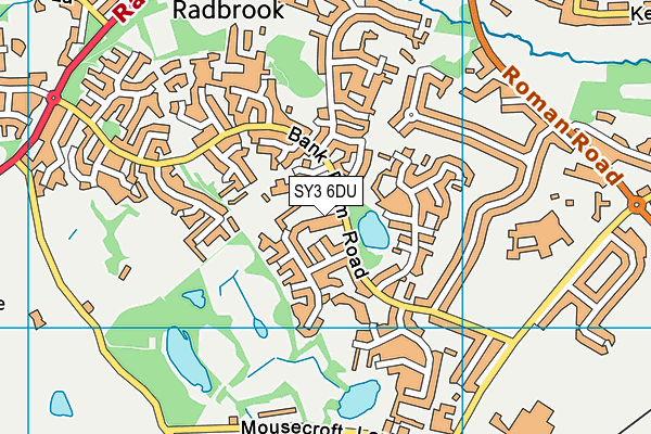 SY3 6DU map - OS VectorMap District (Ordnance Survey)