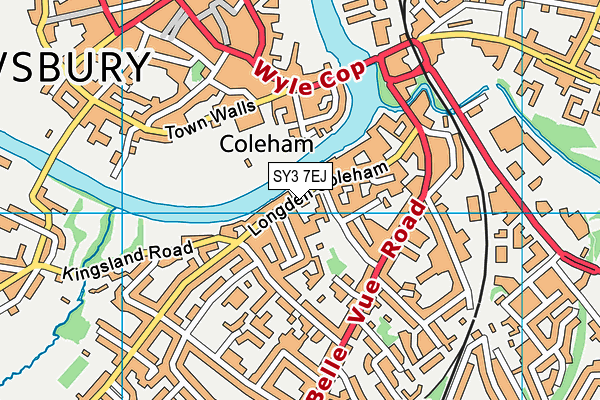 SY3 7EJ map - OS VectorMap District (Ordnance Survey)