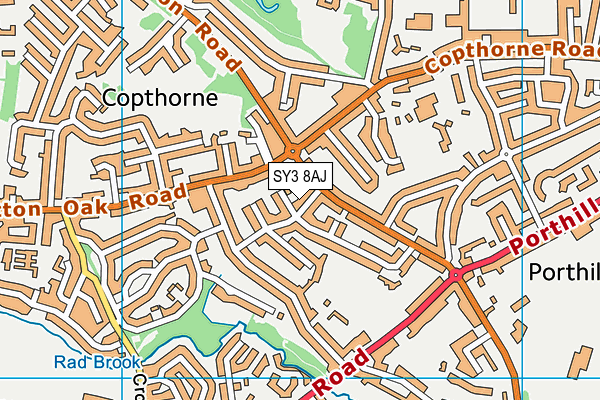 SY3 8AJ map - OS VectorMap District (Ordnance Survey)
