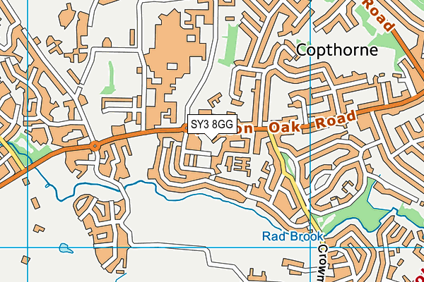 SY3 8GG map - OS VectorMap District (Ordnance Survey)