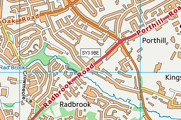Radbrook Recreation Ground map (SY3 9BE) - OS VectorMap District (Ordnance Survey)