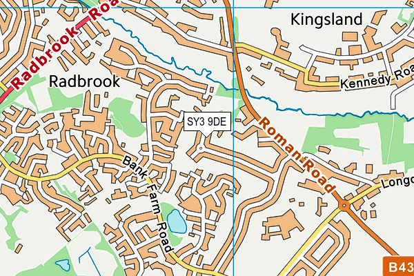 SY3 9DE map - OS VectorMap District (Ordnance Survey)