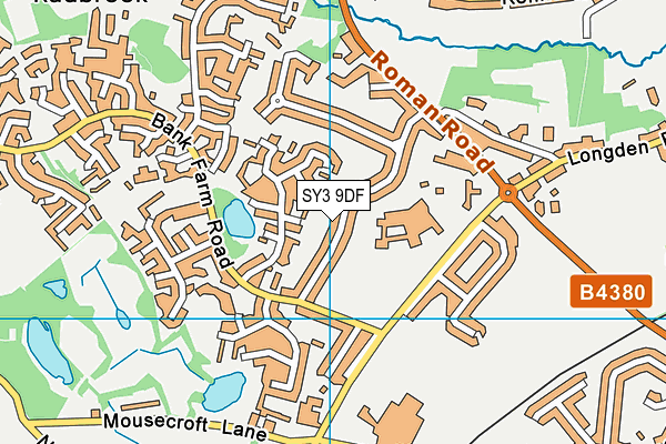 SY3 9DF map - OS VectorMap District (Ordnance Survey)
