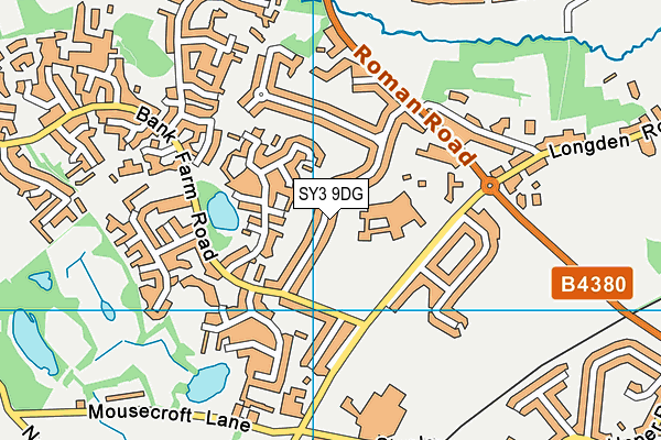 SY3 9DG map - OS VectorMap District (Ordnance Survey)