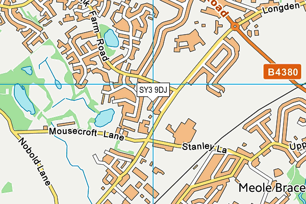 SY3 9DJ map - OS VectorMap District (Ordnance Survey)