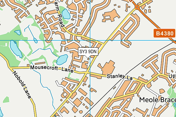 SY3 9DN map - OS VectorMap District (Ordnance Survey)
