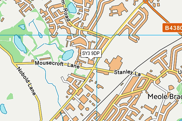 SY3 9DP map - OS VectorMap District (Ordnance Survey)