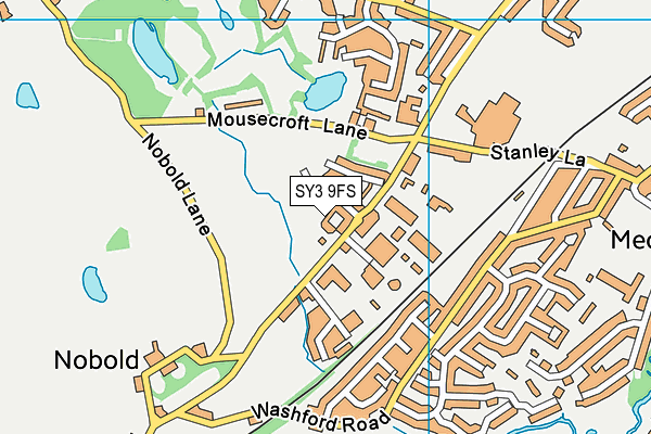SY3 9FS map - OS VectorMap District (Ordnance Survey)