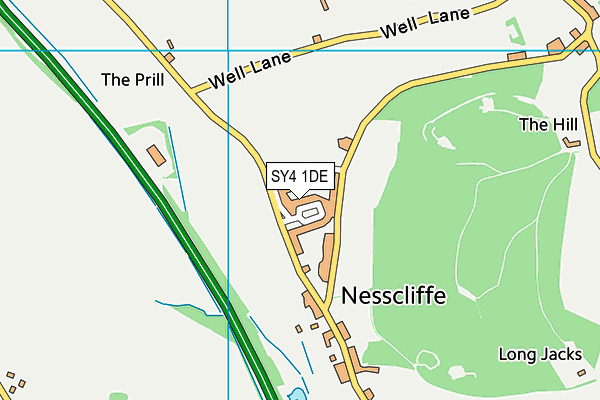 SY4 1DE map - OS VectorMap District (Ordnance Survey)