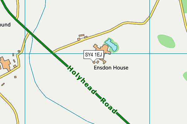 SY4 1EJ map - OS VectorMap District (Ordnance Survey)