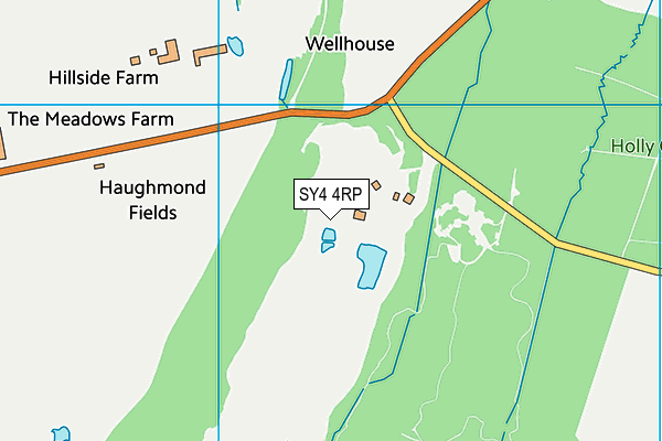 SY4 4RP map - OS VectorMap District (Ordnance Survey)