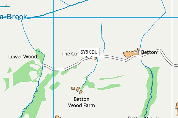 SY5 0DU map - OS VectorMap District (Ordnance Survey)