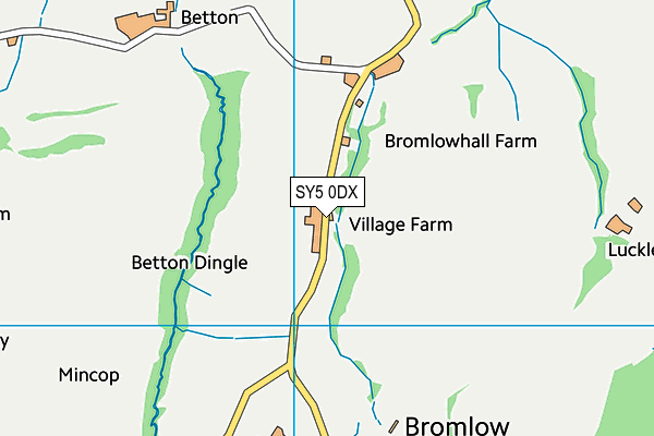 SY5 0DX map - OS VectorMap District (Ordnance Survey)