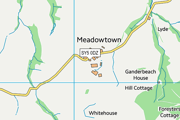 SY5 0DZ map - OS VectorMap District (Ordnance Survey)
