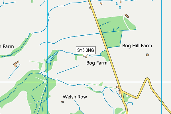 SY5 0NG map - OS VectorMap District (Ordnance Survey)