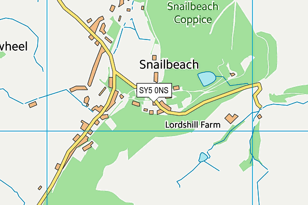 SY5 0NS map - OS VectorMap District (Ordnance Survey)