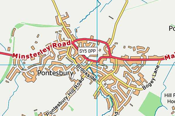 SY5 0PP map - OS VectorMap District (Ordnance Survey)