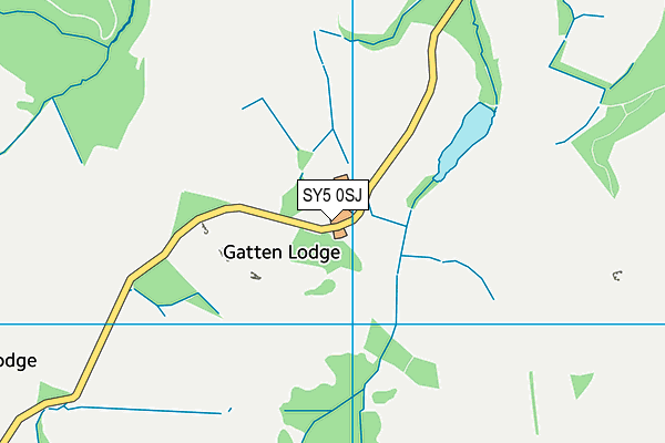 SY5 0SJ map - OS VectorMap District (Ordnance Survey)