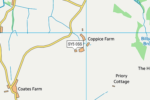 SY5 0SS map - OS VectorMap District (Ordnance Survey)