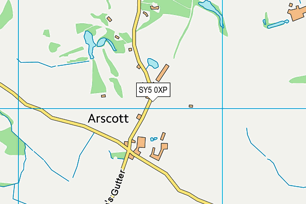 Arscott Golf Club map (SY5 0XP) - OS VectorMap District (Ordnance Survey)