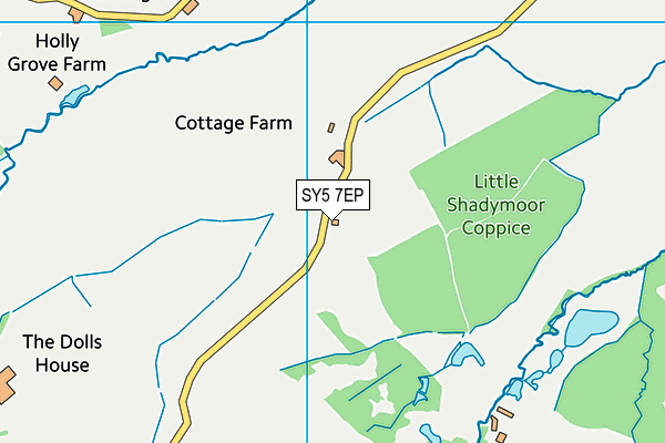 SY5 7EP map - OS VectorMap District (Ordnance Survey)