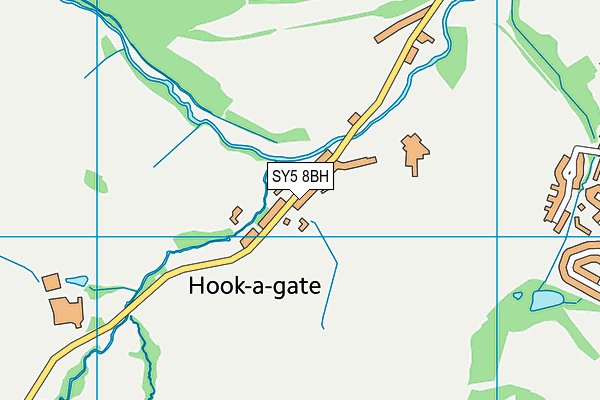 SY5 8BH map - OS VectorMap District (Ordnance Survey)