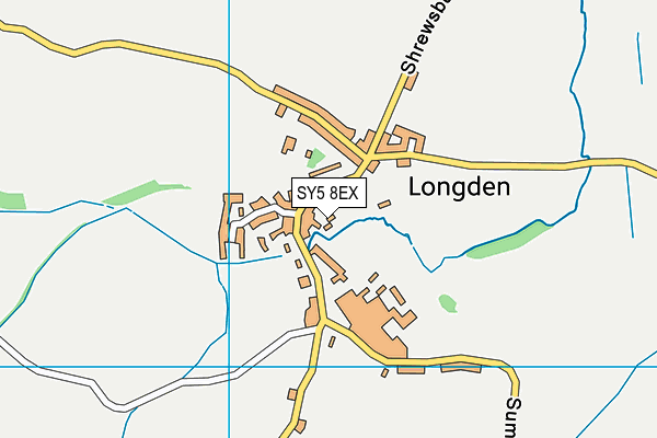 Longden CofE Primary School map (SY5 8EX) - OS VectorMap District (Ordnance Survey)