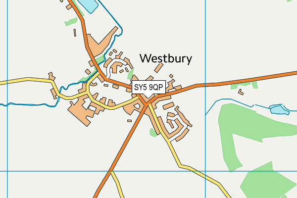 SY5 9QP map - OS VectorMap District (Ordnance Survey)