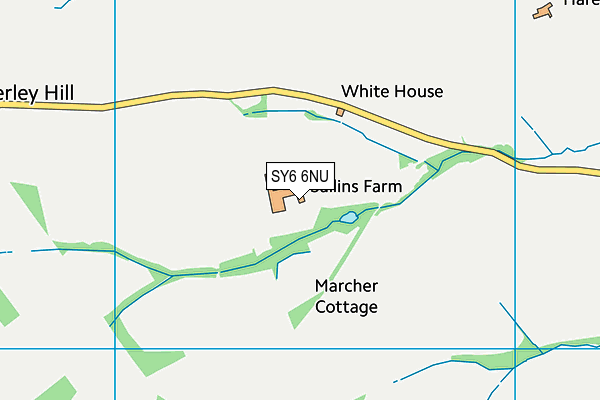 SY6 6NU map - OS VectorMap District (Ordnance Survey)