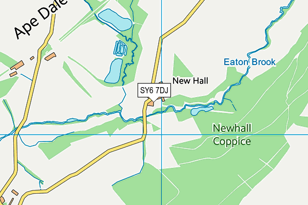 SY6 7DJ map - OS VectorMap District (Ordnance Survey)